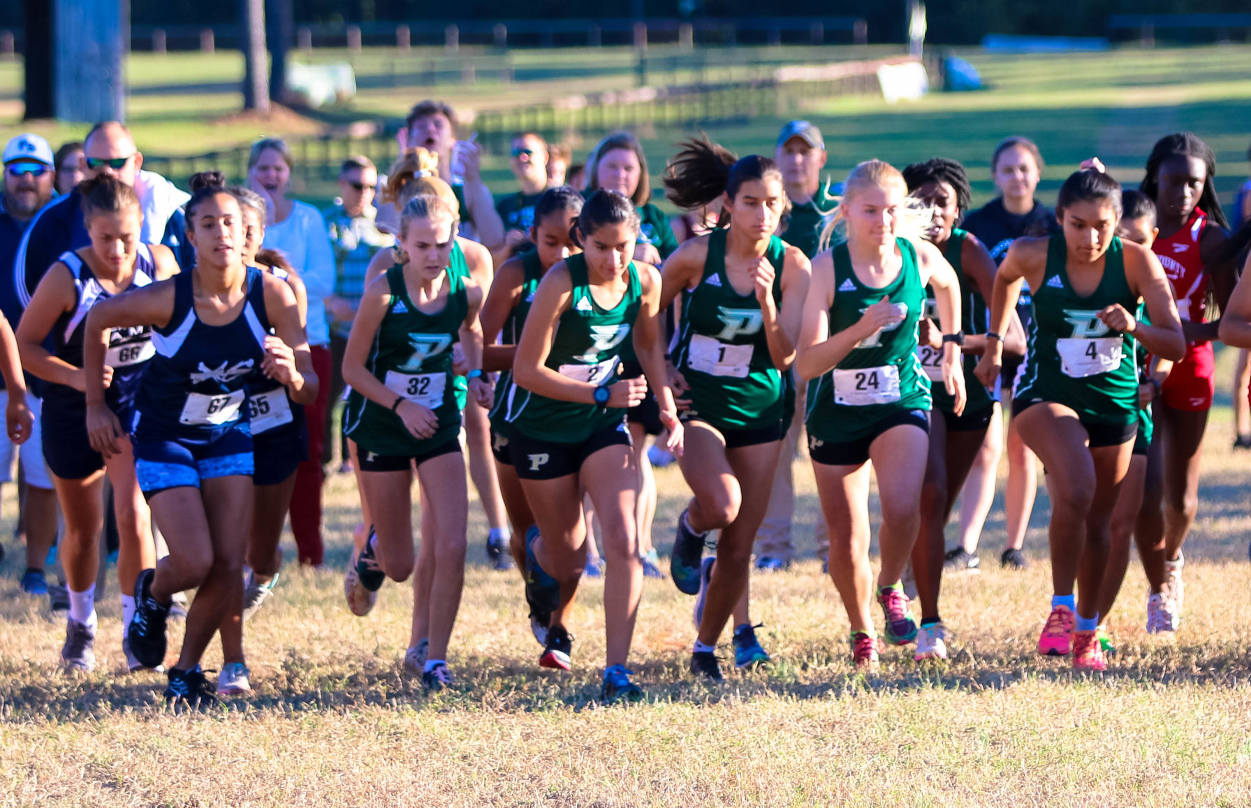 PC Cross Country SAC Meet-99.jpg
